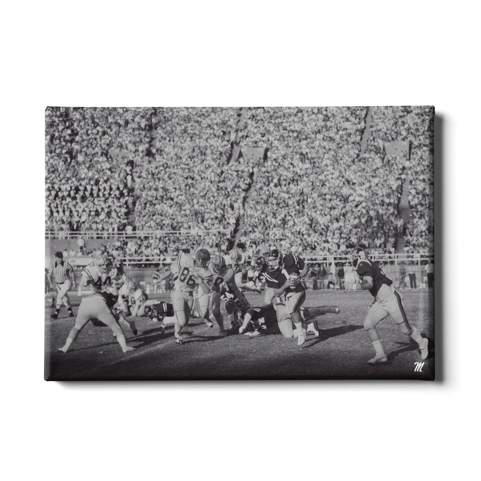 OLE MISS REBELS - Vintage Forcade - College Wall Art #Canvas