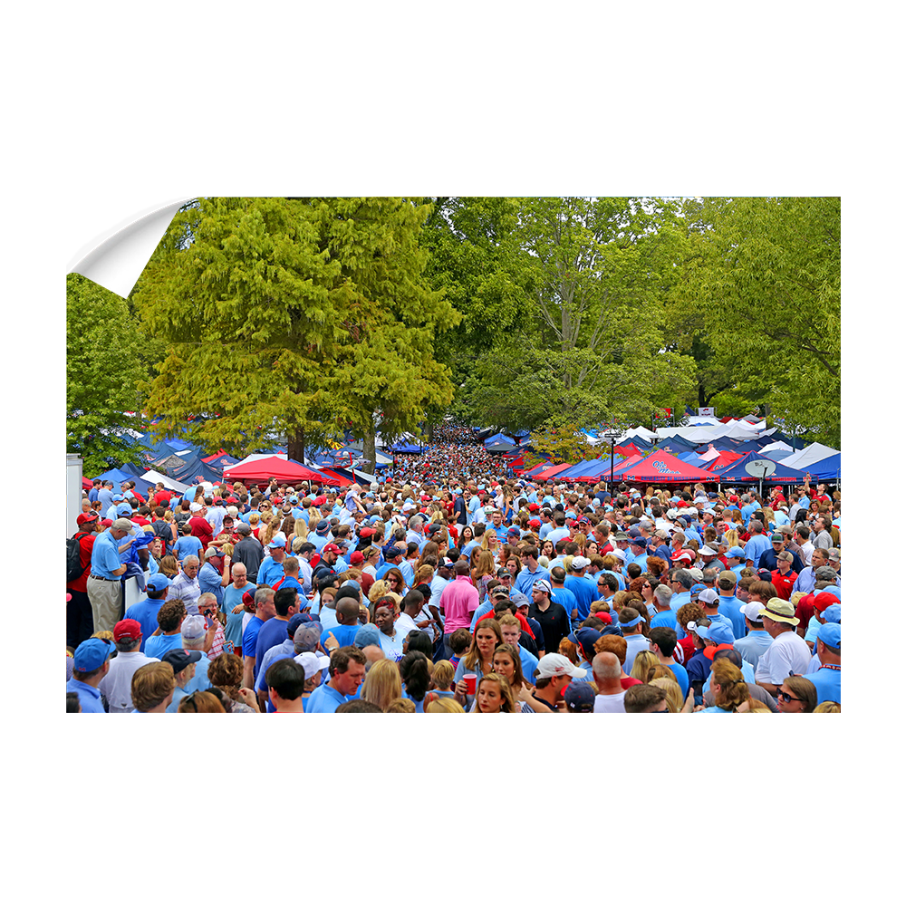 Ole Miss Rebels - Swarm the Grove - College Wall Art #Canvas