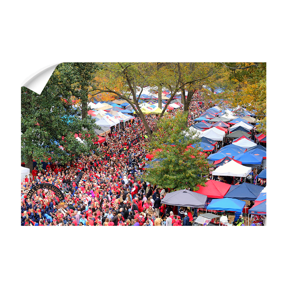 Ole Miss Rebels - Aerial Grove - College Wall Art #Canvas