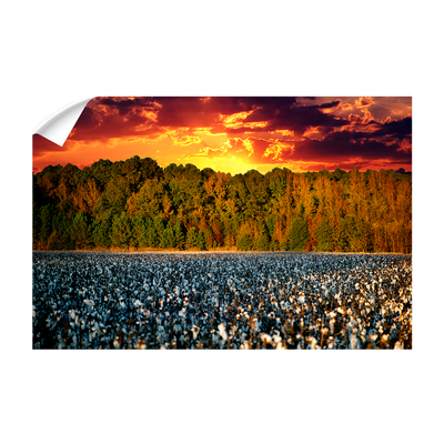 Cotton Field -College Wall Art #Wall Decal