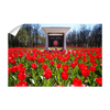 Ole Miss Rebels - Spring Flowers - College Wall Art #Wall Decal