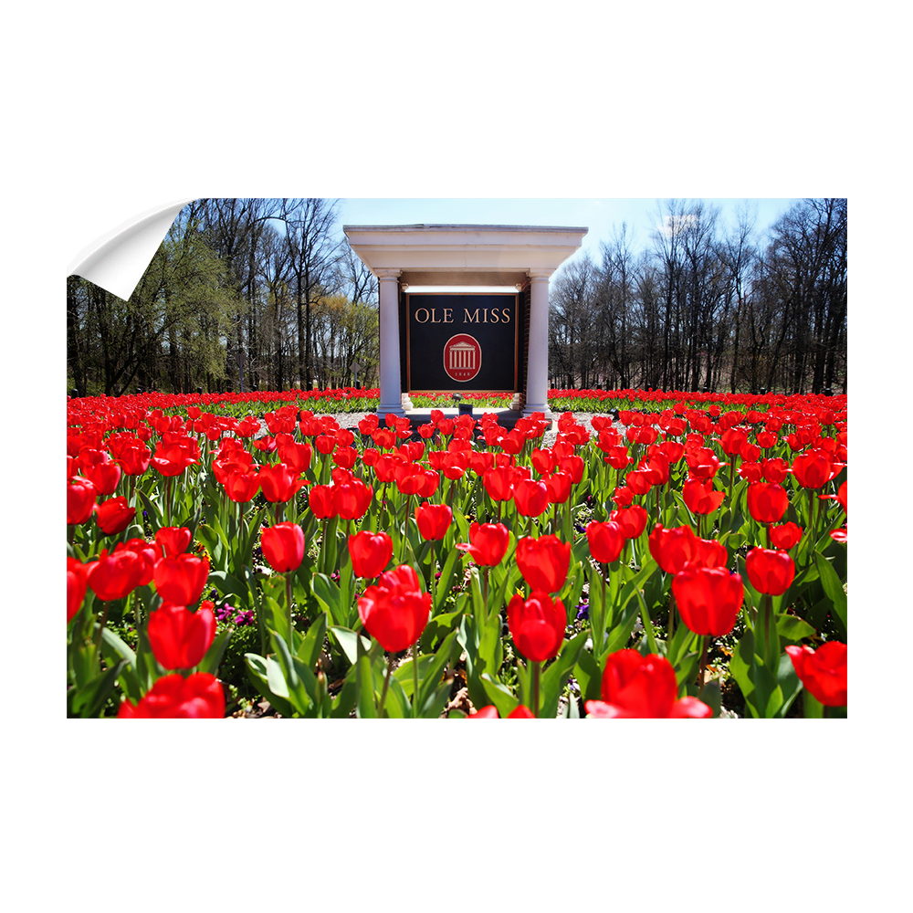 Ole Miss Rebels - Spring Flowers - College Wall Art #Canvas