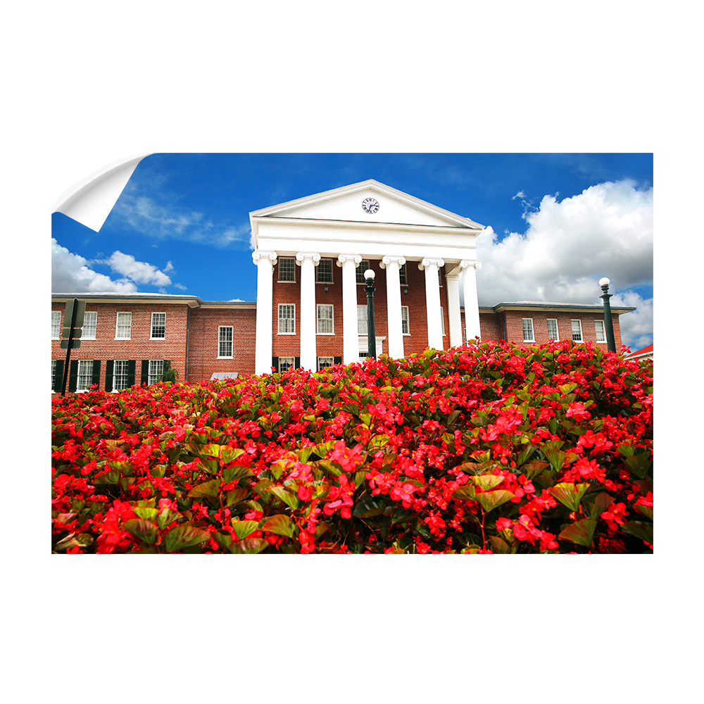 Ole Miss Rebels - Lyceum - College Wall Art #Canvas