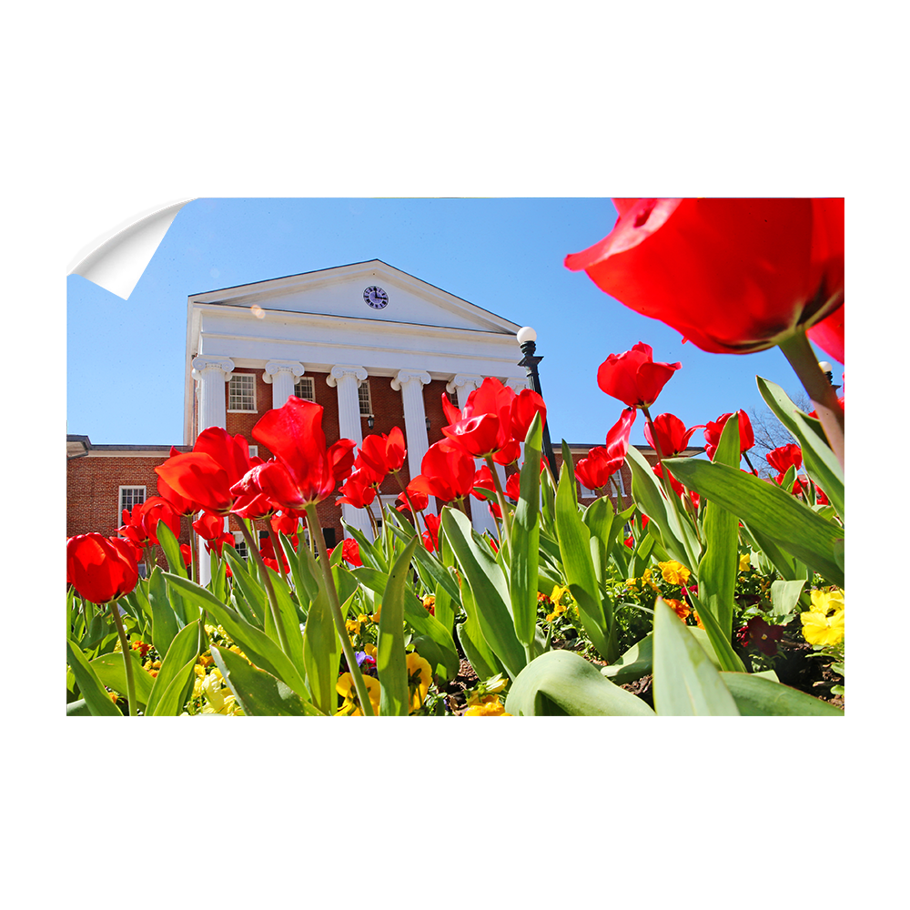 Ole Miss Rebels - Spring Lyceum - College Wall Art #Canvas