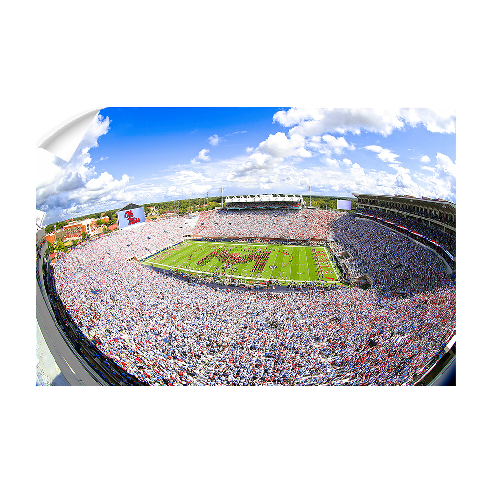 Ole Miss Rebels - Ole Miss White Out - College Wall Art #Canvas