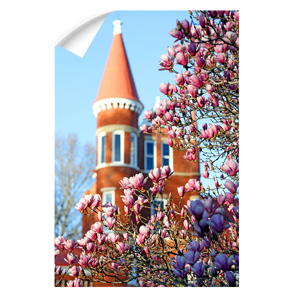 Ole Miss Rebels - Spring at Ole Miss - College Wall Art #Canvas