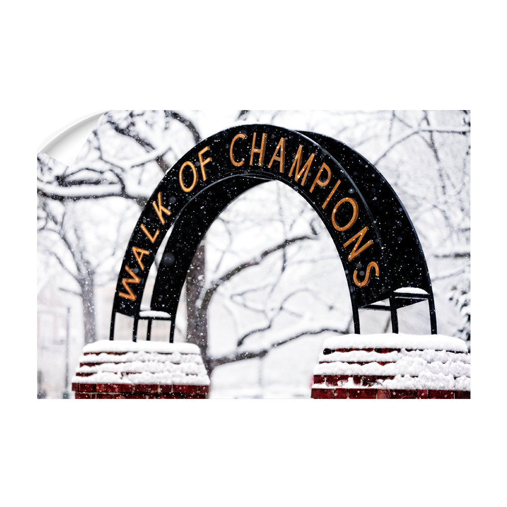 Ole Miss Rebels - Snowy Day Walk of Champions - College Wall Art #Canvas