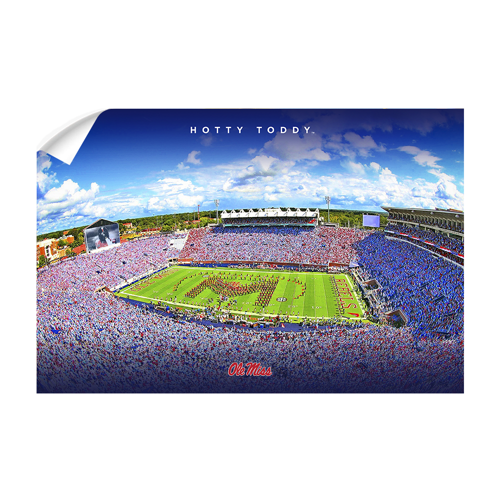 Ole Miss Rebels - Hotty Toddy - College Wall Art #Canvas