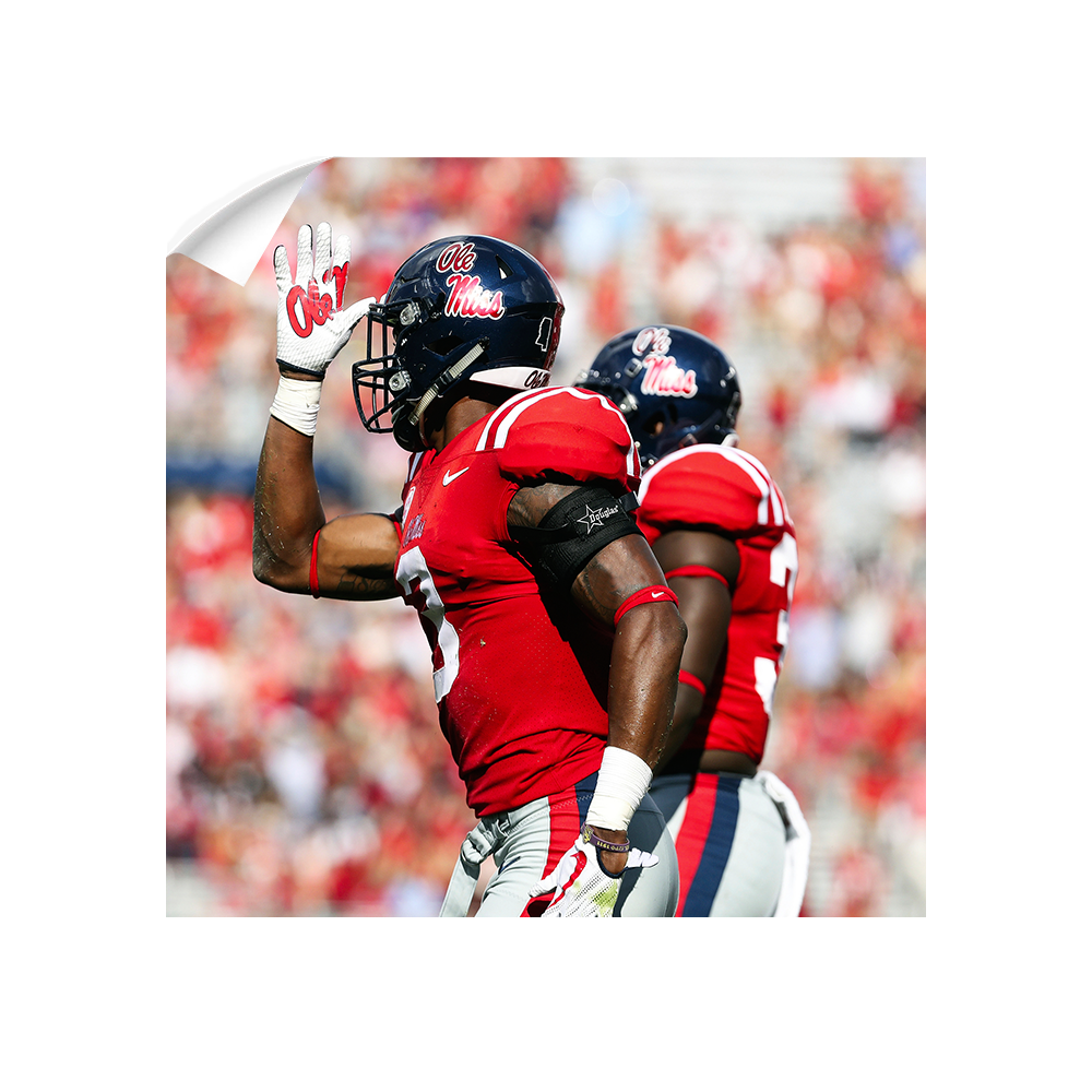 Ole Miss Rebels - Fins Up - College Wall Art #Canvas