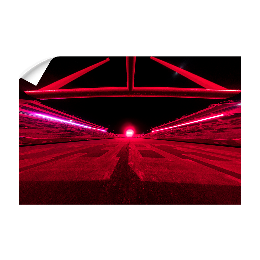 Ole Miss Rebels - Rebel Red - College Wall Art #Canvas