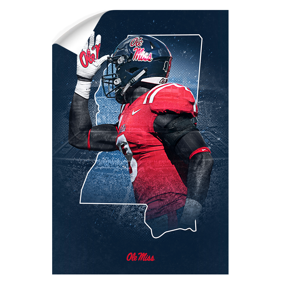 Ole Miss Rebels - Landshark State - College Wall Art #Canvas