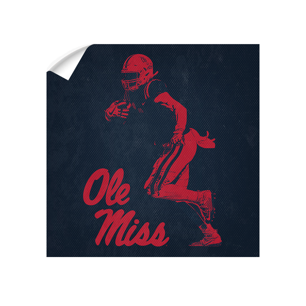 Ole Miss Rebels - Ole Miss Red & Blue - College Wall Art #Canvas