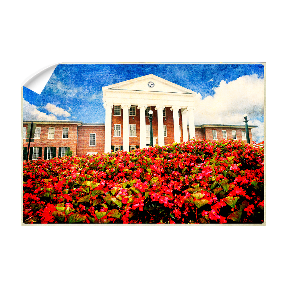 Ole Miss Rebels - Lyceum Paint - College Wall Art #Canvas