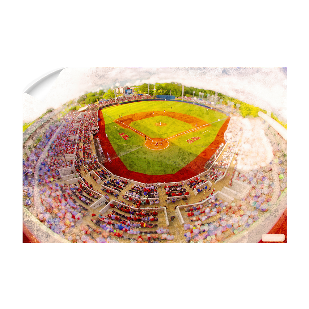 Ole Miss Rebels - Rebels Swayze Field Art - College Wall Art #Canvas