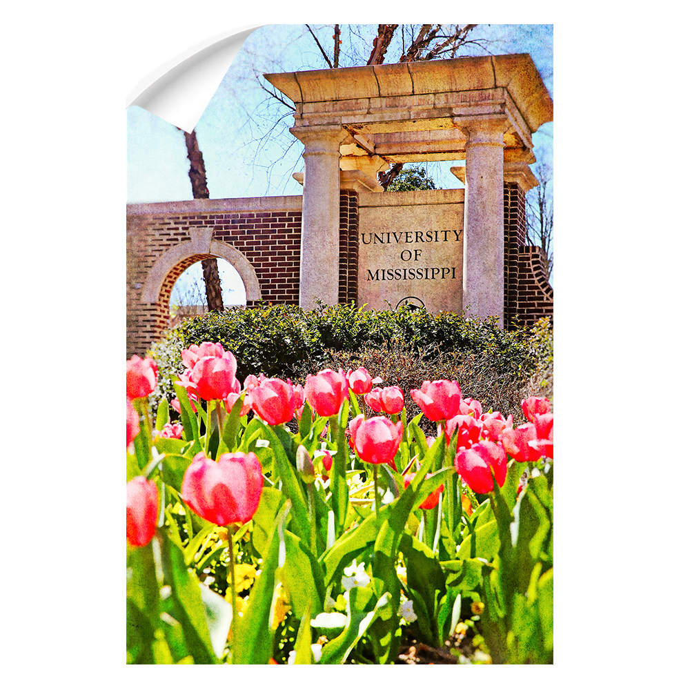 Ole Miss Rebels - University of Mississippi Spring Entrance - College Wall Art #Canvas