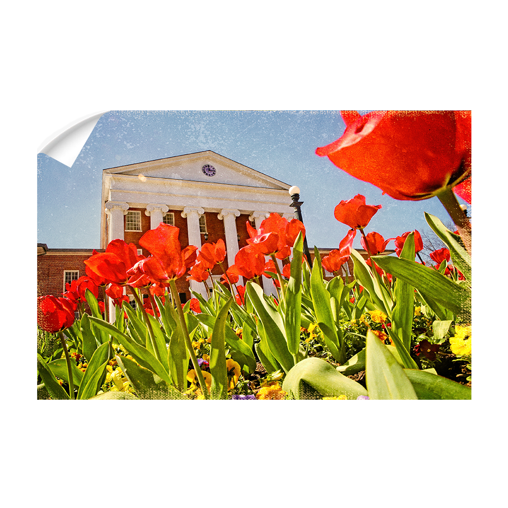 Ole Miss Rebels - Lyceum Grand Tulip Paint - College Wall Art #Canvas