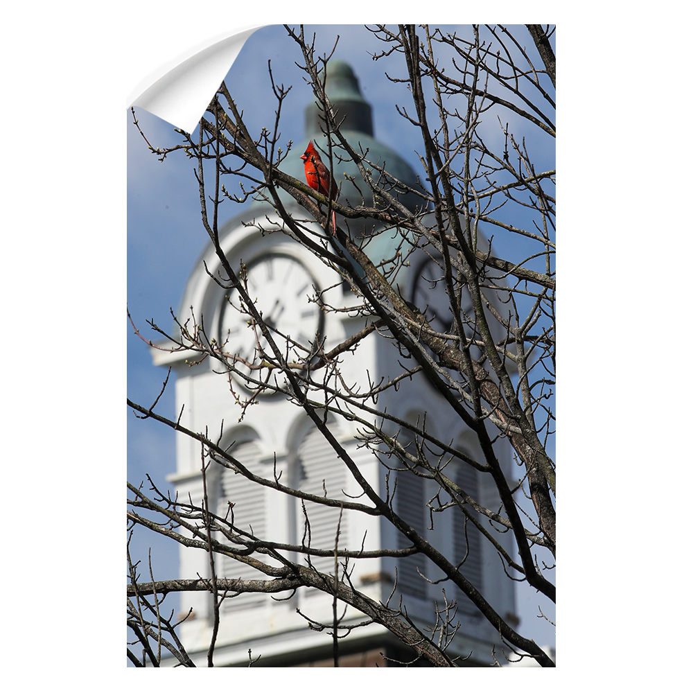 Ole Miss Rebels - Oxford Cardinal - College Wall Art #Canvas