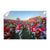 Ole Miss Rebels - Running Onto the Field - College Wall Art #Canvas
