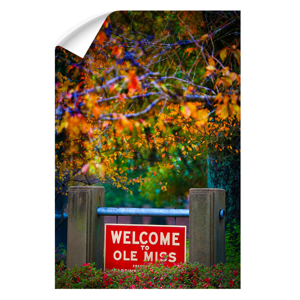 Ole Miss Rebels - Welcome to Ole Miss - College Wall Art #Canvas