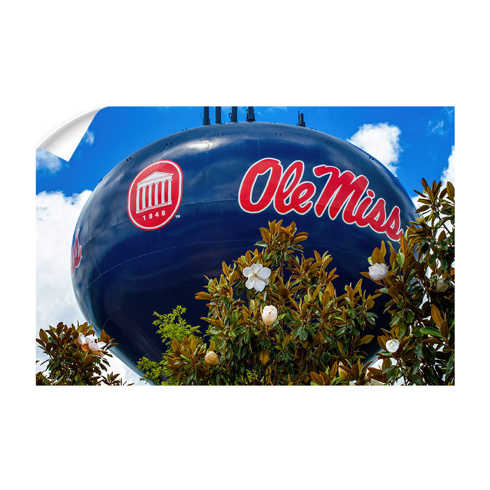 Ole Miss Rebels - Water Tower Magnolia - College Wall Art #Canvas