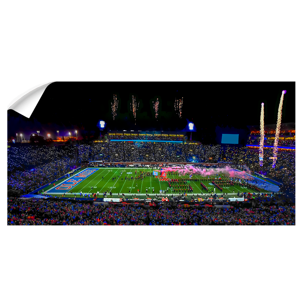 Ole Miss Rebels - Ole Miss Light Show Panoramic - College Wall Art #Canvas