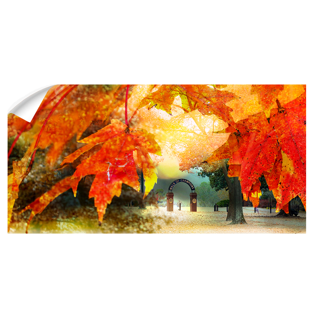 Ole Miss Rebels - Autumn Walk of Champions Panoramic - College WALL Art #Canvas