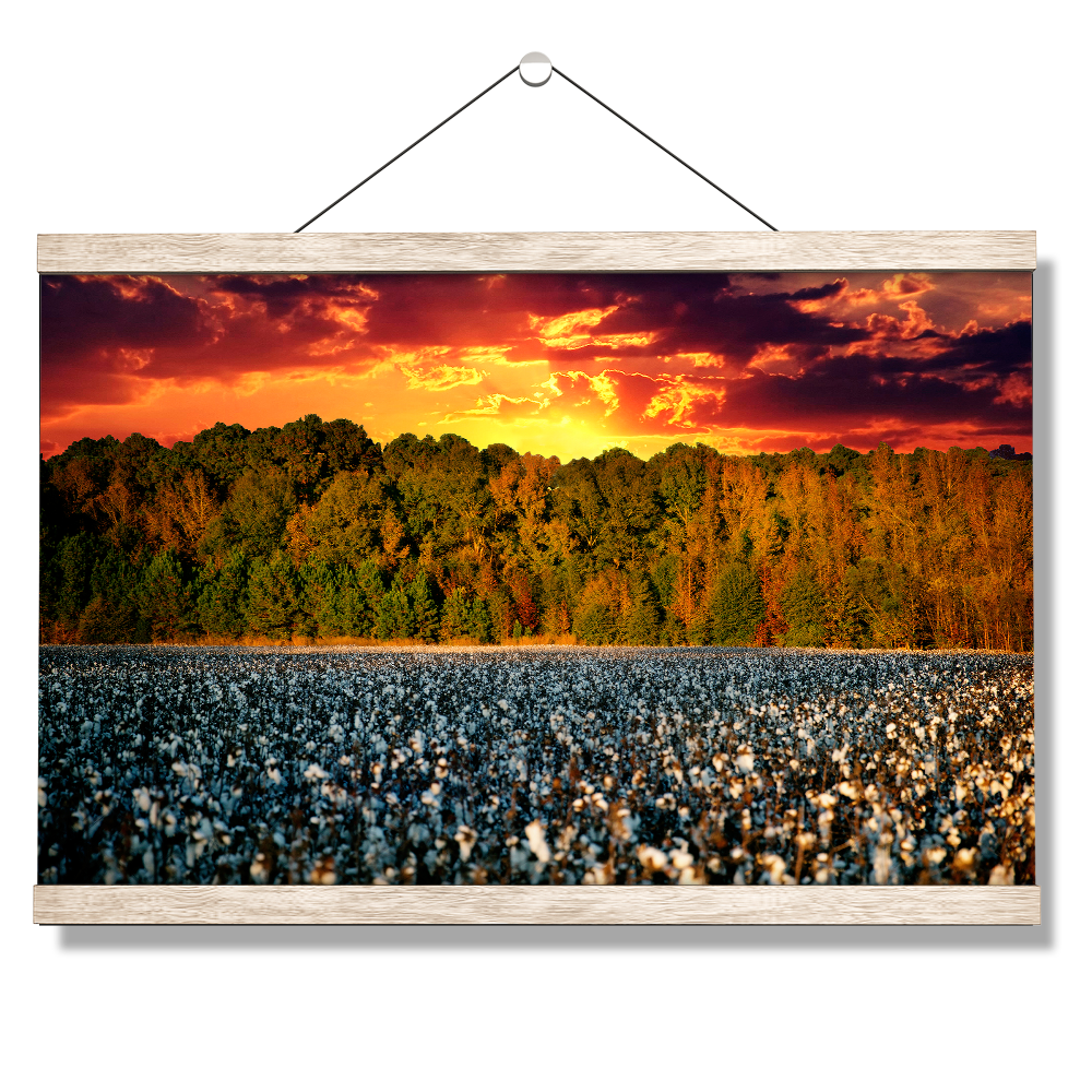 Cotton Field -College Wall Art #Canvas