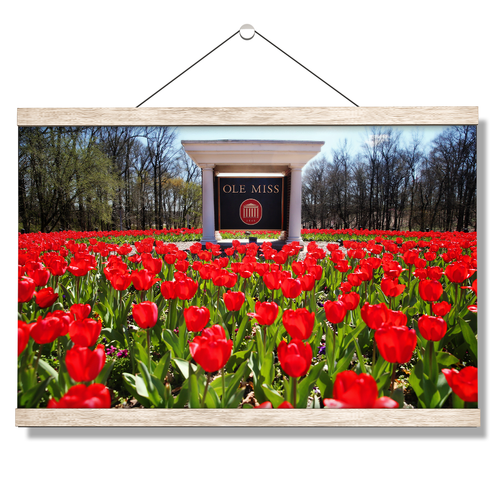 Ole Miss Rebels - Spring Flowers - College Wall Art #Canvas
