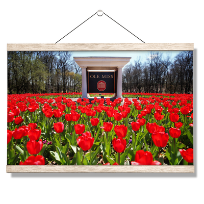 Ole Miss Rebels - Spring Flowers - College Wall Art #Hanging Canvas