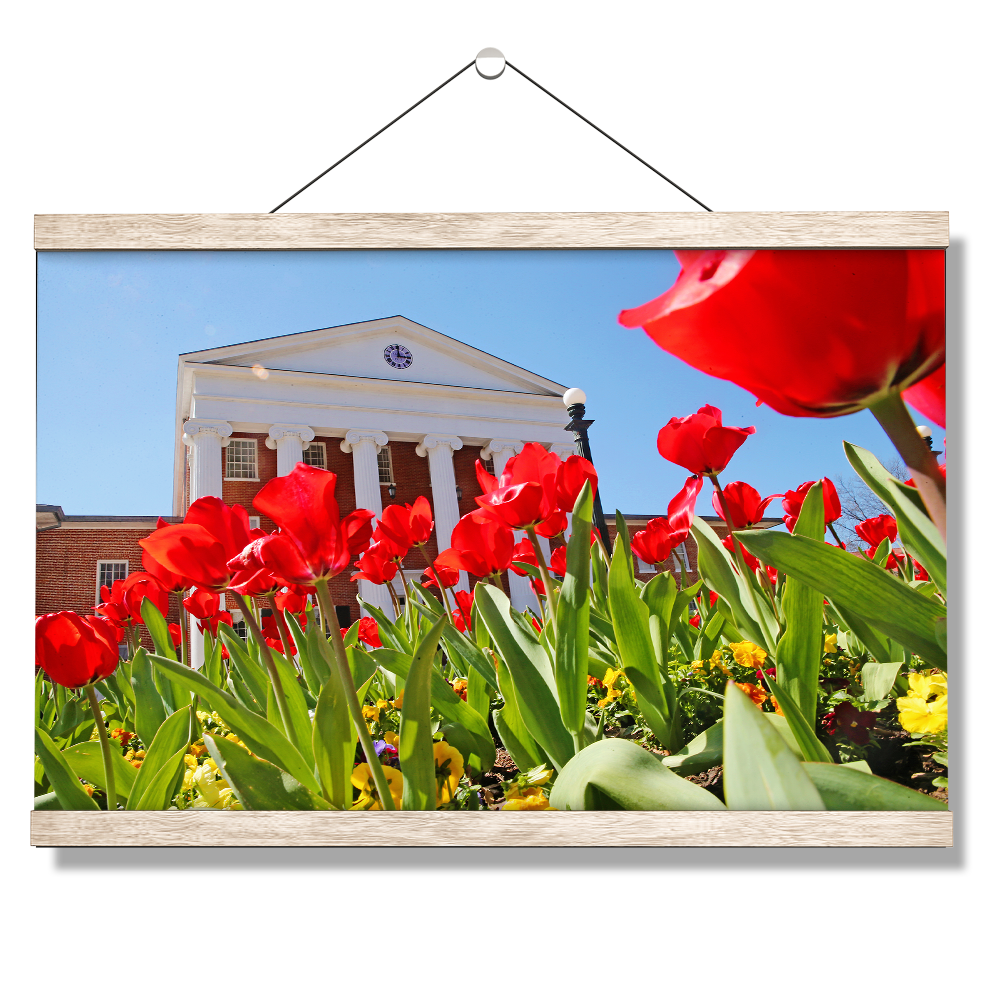 Ole Miss Rebels - Spring Lyceum - College Wall Art #Canvas