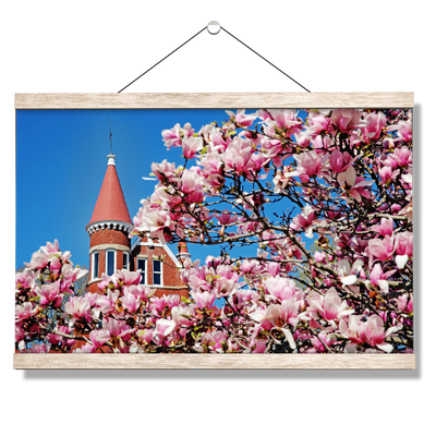 Ole Miss Rebels - Cherry Blossom Ventress - College Wall Art #Hanging Canvas
