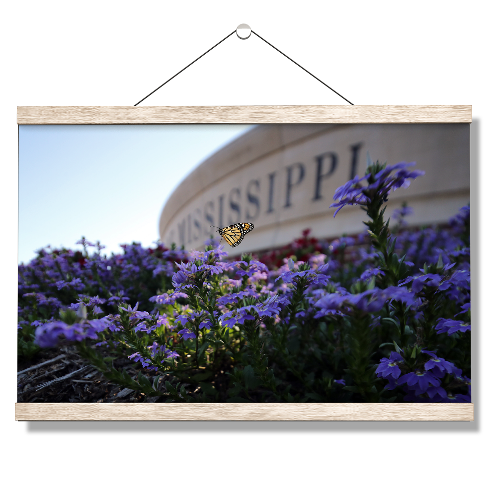 Ole Miss Rebels - Mississippi Butterfly - College Wall Art #Canvas