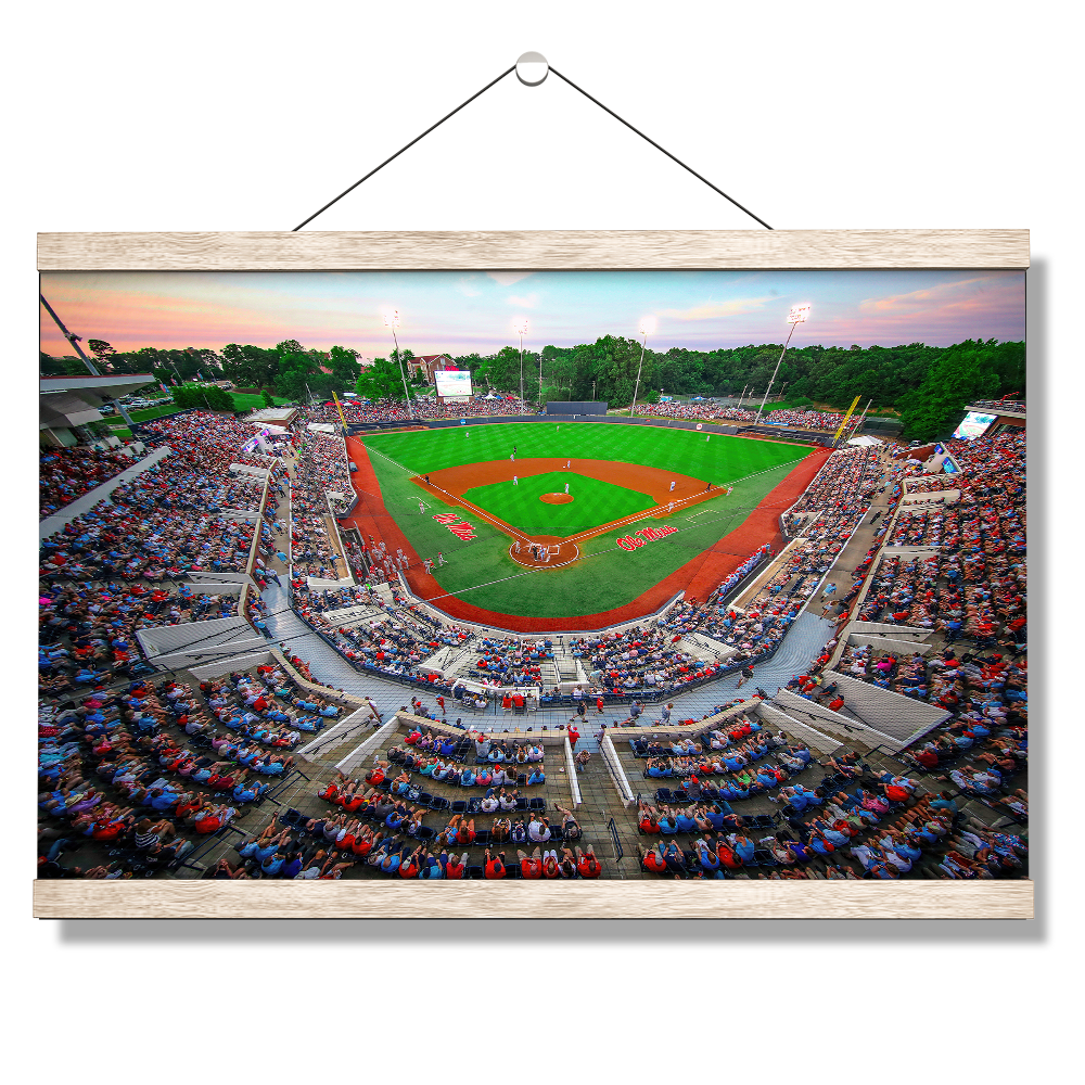 Ole Miss Rebels - NCAA Swayze - College Wall Art #Canvas