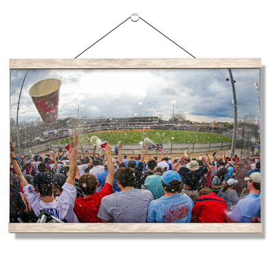 Ole Miss Rebels - Swayze Shower Right Field - College Wall Art #Hanging Canvas