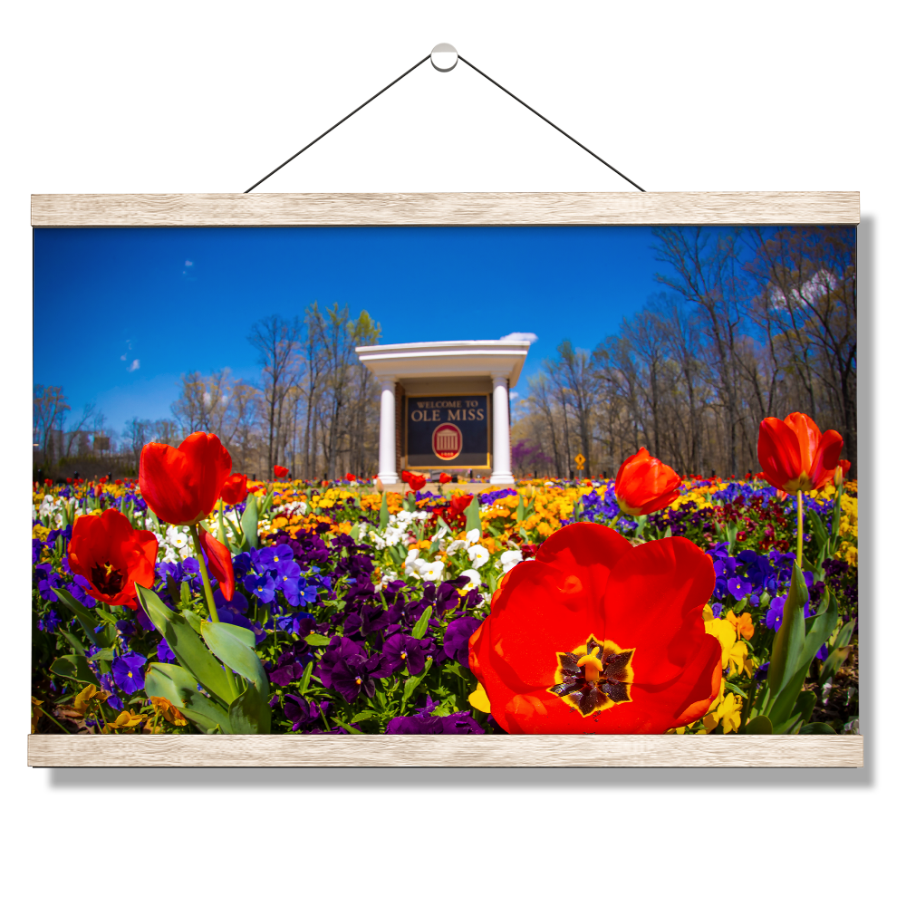 Ole Miss Rebels - 2021 Tulip Circle - College Wall Art #Canvas
