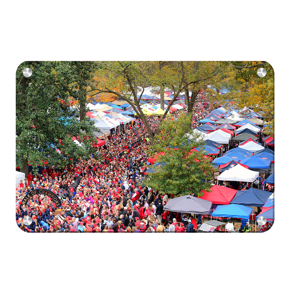 Ole Miss Rebels - Aerial Grove - College Wall Art #Canvas