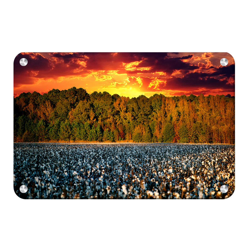 Cotton Field -College Wall Art #Canvas