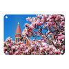 Ole Miss Rebels - Cherry Blossom Ventress - College Wall Art #Metal