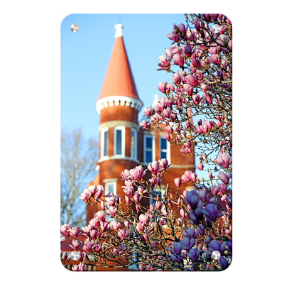 Ole Miss Rebels - Spring at Ole Miss - College Wall Art #Metal