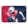 Ole Miss Rebels - Red White Blue Rebs - College Wall Art #Metal