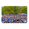 Ole Miss Rebels - Swarm the Grove at Ole Miss#Metal
