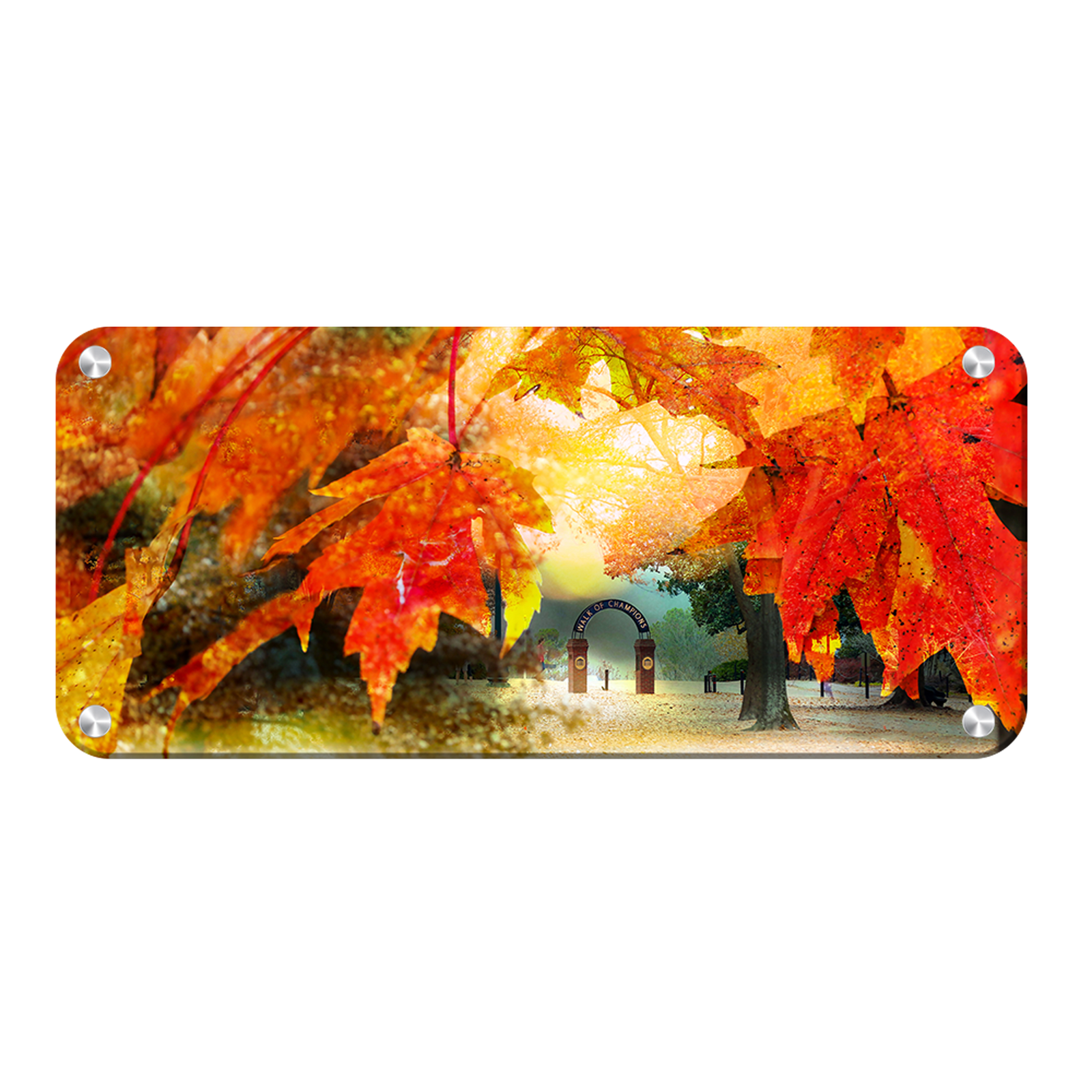 Ole Miss Rebels - Autumn Walk of Champions Panoramic - College WALL Art #Canvas