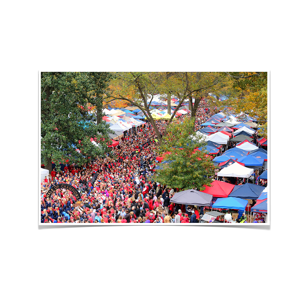 Ole Miss Rebels - Aerial Grove - College Wall Art #Canvas