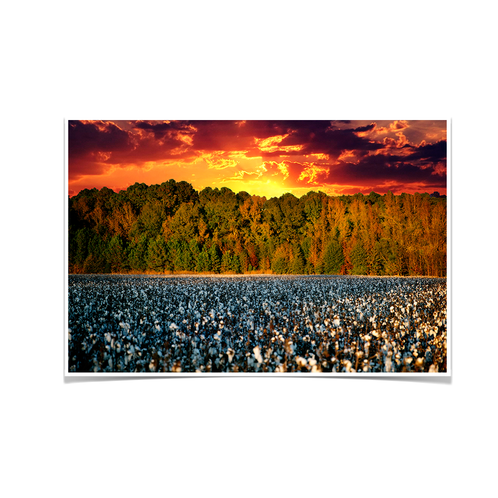Cotton Field -College Wall Art #Canvas