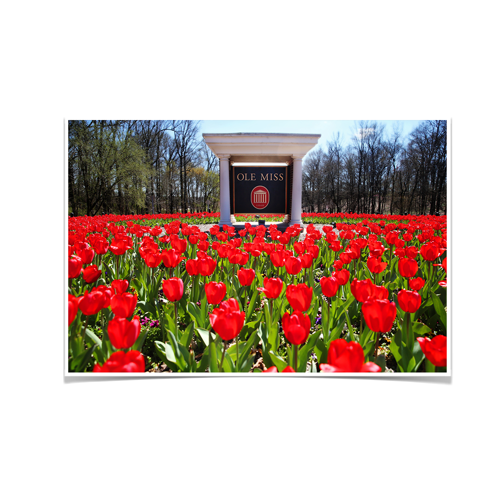 Ole Miss Rebels - Spring Flowers - College Wall Art #Canvas