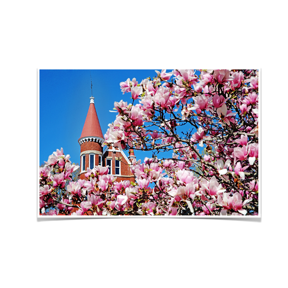 Ole Miss Rebels - Cherry Blossom Ventress - College Wall Art #Canvas