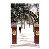 Ole Miss Rebels - Snowy Walk of Champions - College Wall Art #Poster