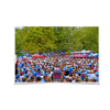 Ole Miss Rebels - Swarm the Grove at Ole Miss - College Wall Art #Poster