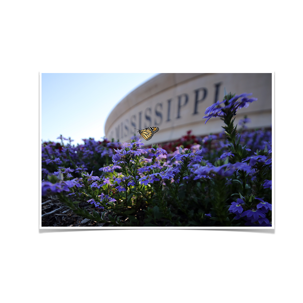 Ole Miss Rebels - Mississippi Butterfly - College Wall Art #Canvas