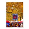 Ole Miss Rebels - Fall Grove - College Wall Art #Poster